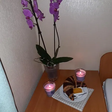 опалковый замок
